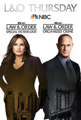 法律与秩序组织犯罪第二季第8集