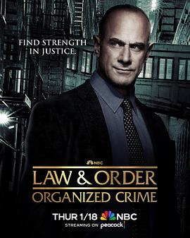 法律与秩序：组织犯罪第四季第03集