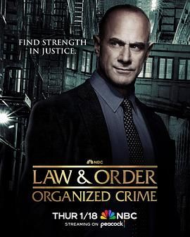 法律与秩序：组织犯罪 第四季第3集