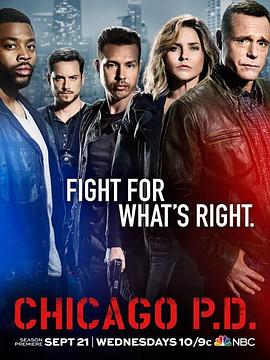 芝加哥警署 第四季第17集